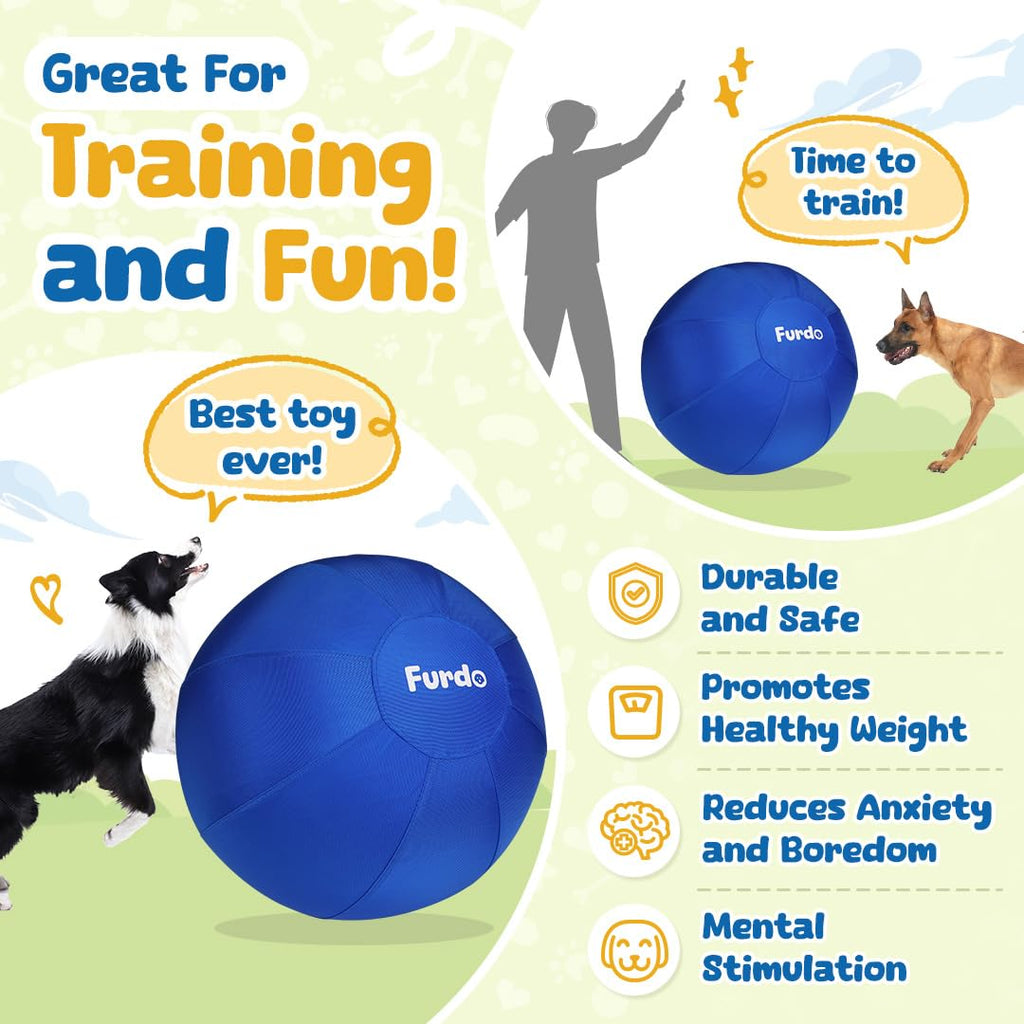 25" Herding Ball for Dogs H636718
