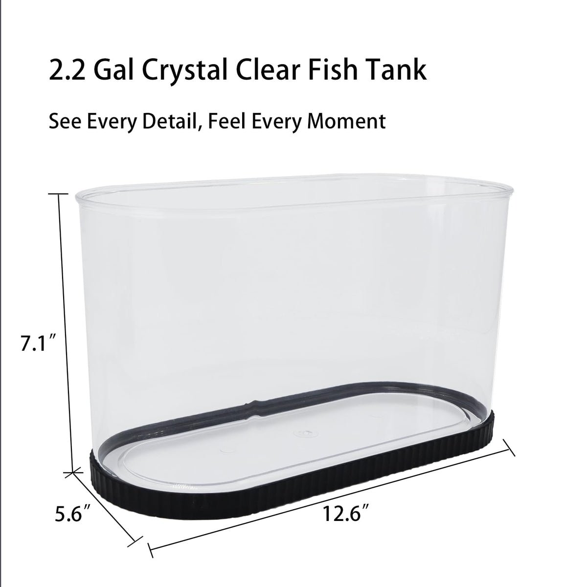 2 Gallon Fish Tank Kit with Filter and Light K34501
