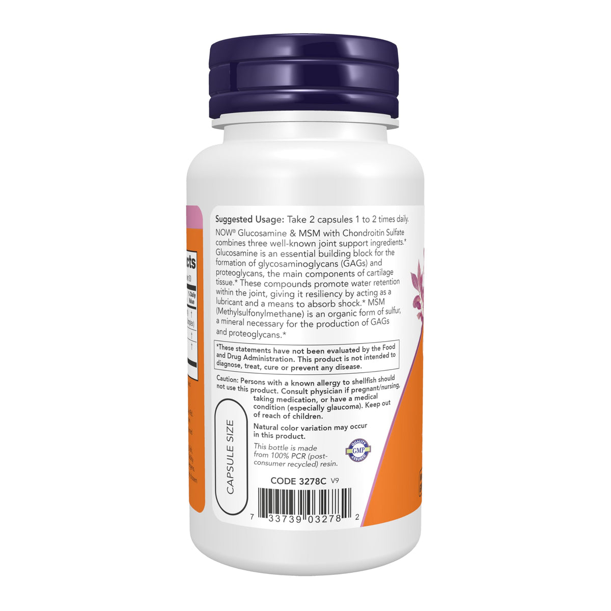 Glucosamine & MSM plus Chondroitin Sulfate, 60 Veg Caps S73494