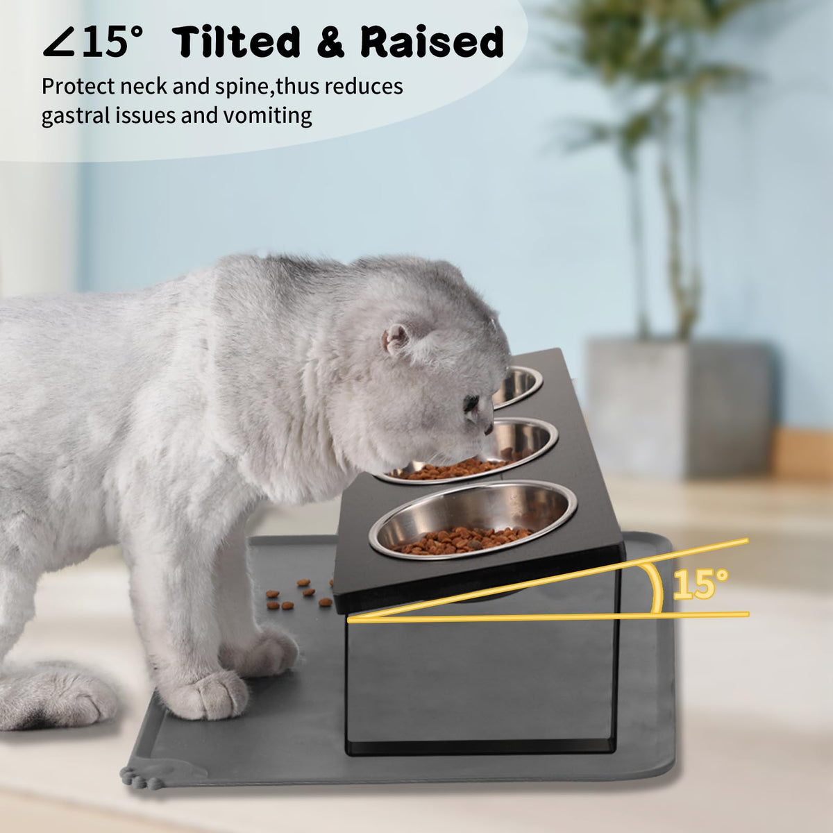 15° Tilted Stainless Steel Elevated Cat Bowls with Food Mat T9487