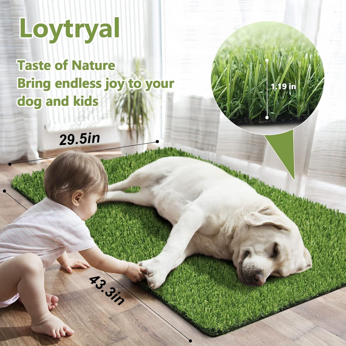 43.3 x 29.5 Inches Washable Artificial Grass Rug O991444
