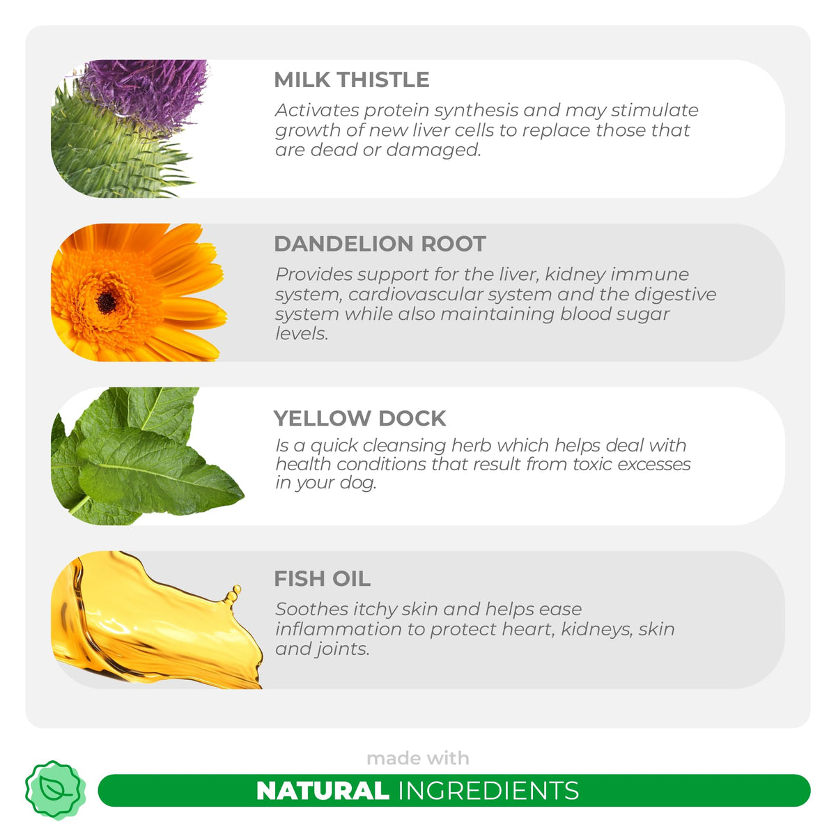 Milk Thistle Multivitamin for Dogs G757127