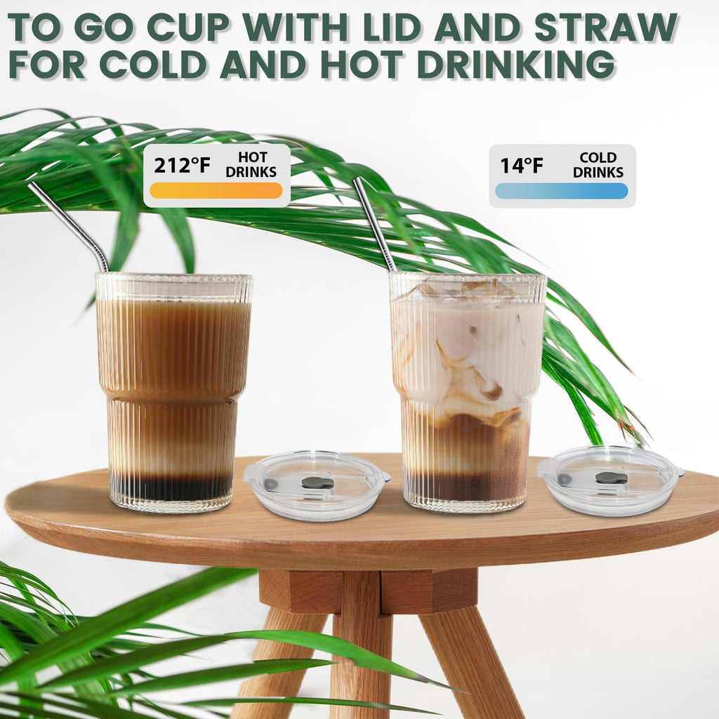 16 OZ Clear Plastic Iced Coffee Cups with Lids and Straws 2 Pcs V735