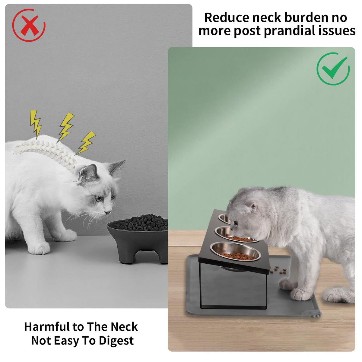 15° Tilted Stainless Steel Elevated Cat Bowls with Food Mat T9487