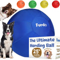 25" Herding Ball for Dogs H636718