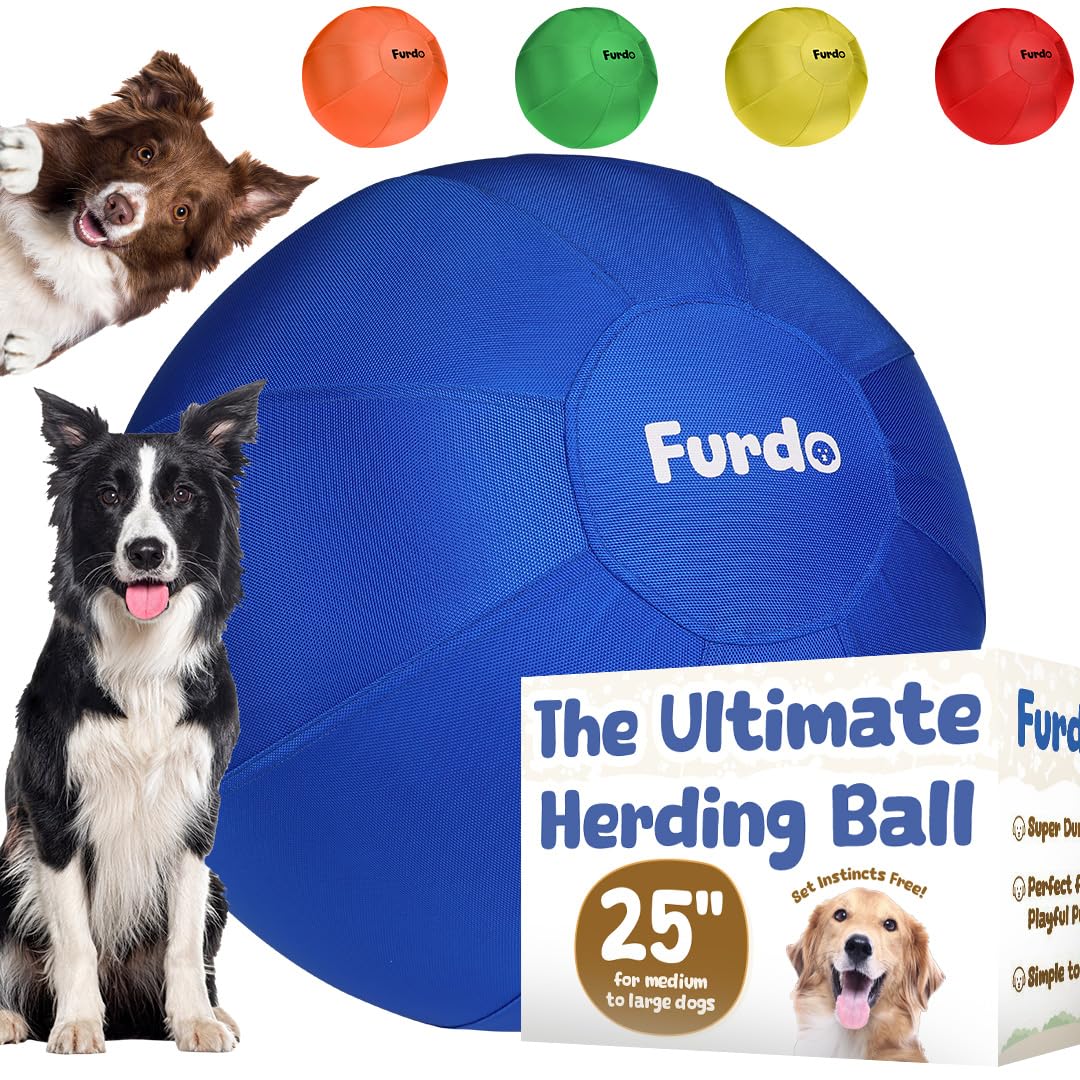 25" Herding Ball for Dogs H636718
