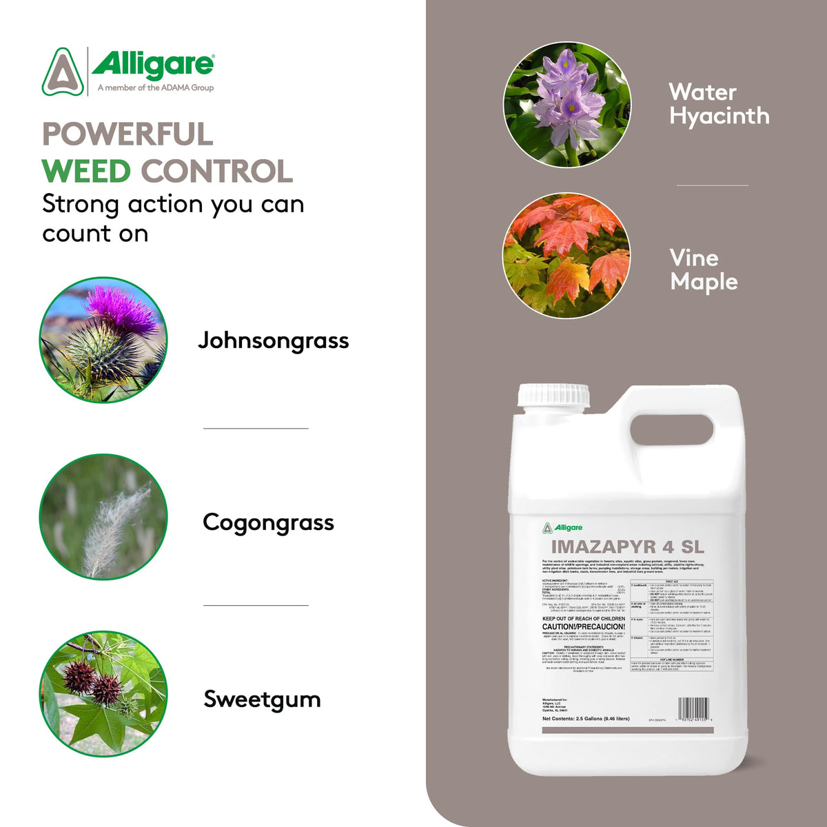 Imazapyr 4 SL Herbicide 2.5 Gallon Liquid Weed Killer F18128