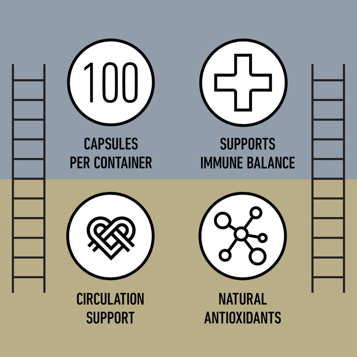 Organic Garlic Capsules 520mg J200714