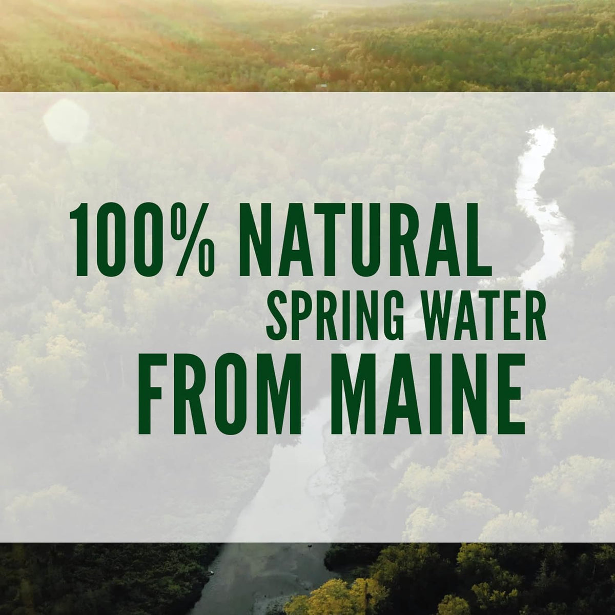 100% Natural Mineral Drinking Water 16.9 oz. 14 pk. E63600