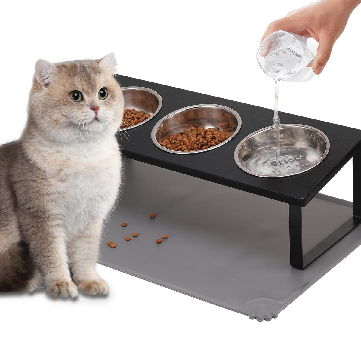15° Tilted Stainless Steel Elevated Cat Bowls with Food Mat T9487
