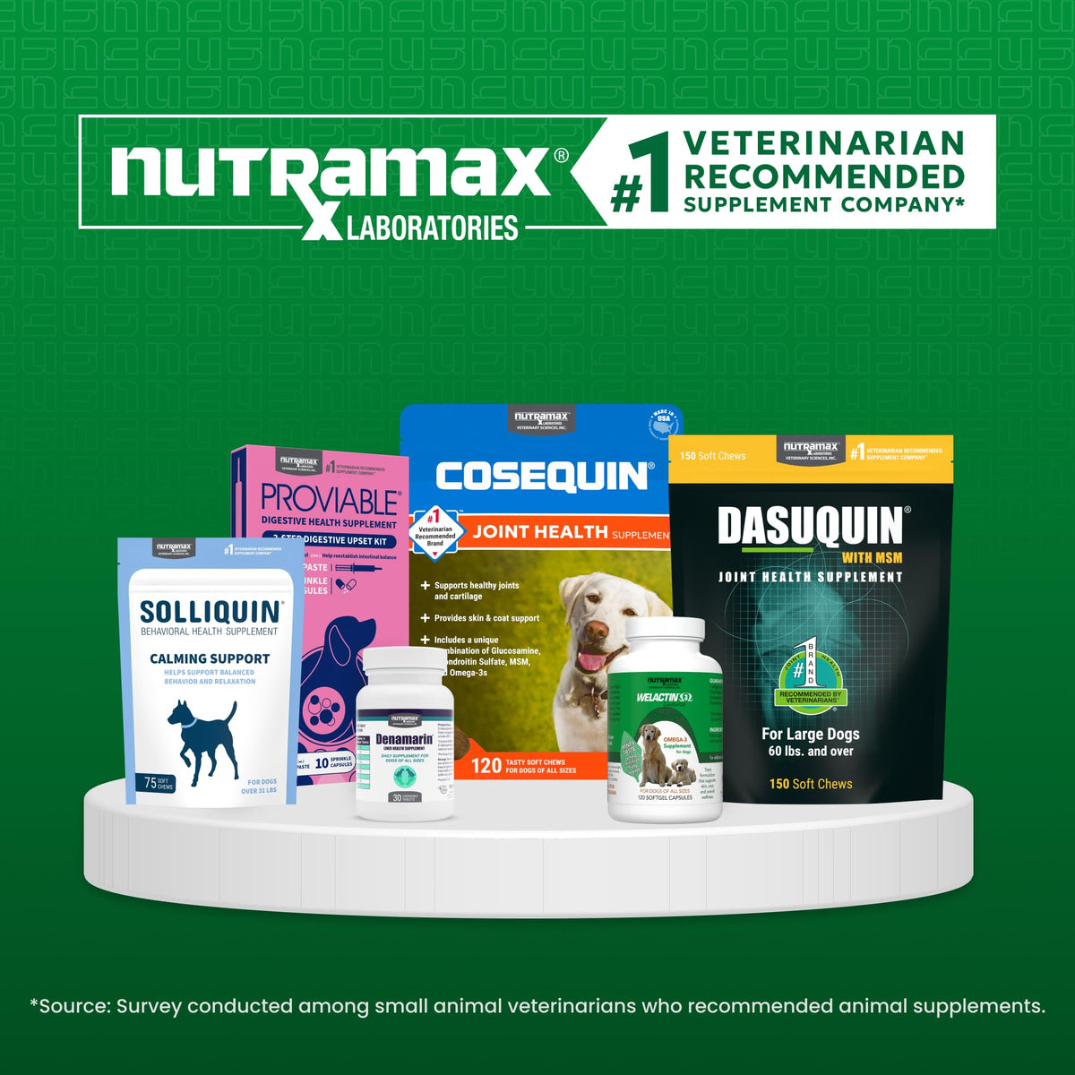 Liver Supplement for Large Dogs, 30ct J52805