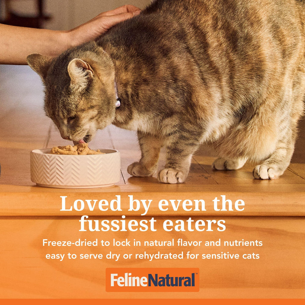 High Protein Freeze Dried Cat Food O455609
