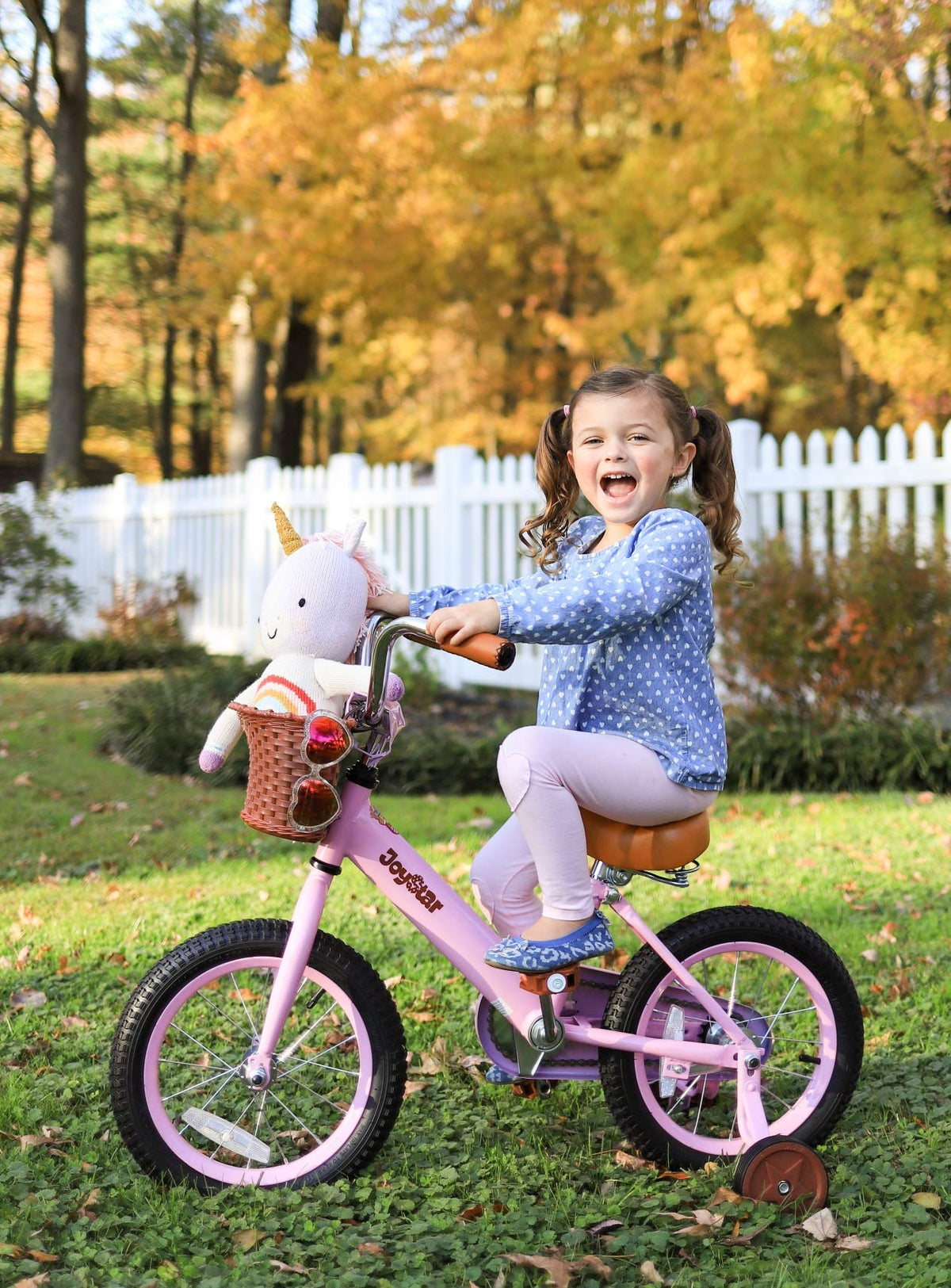 12-16" Kids Bike with Training Wheels D7353