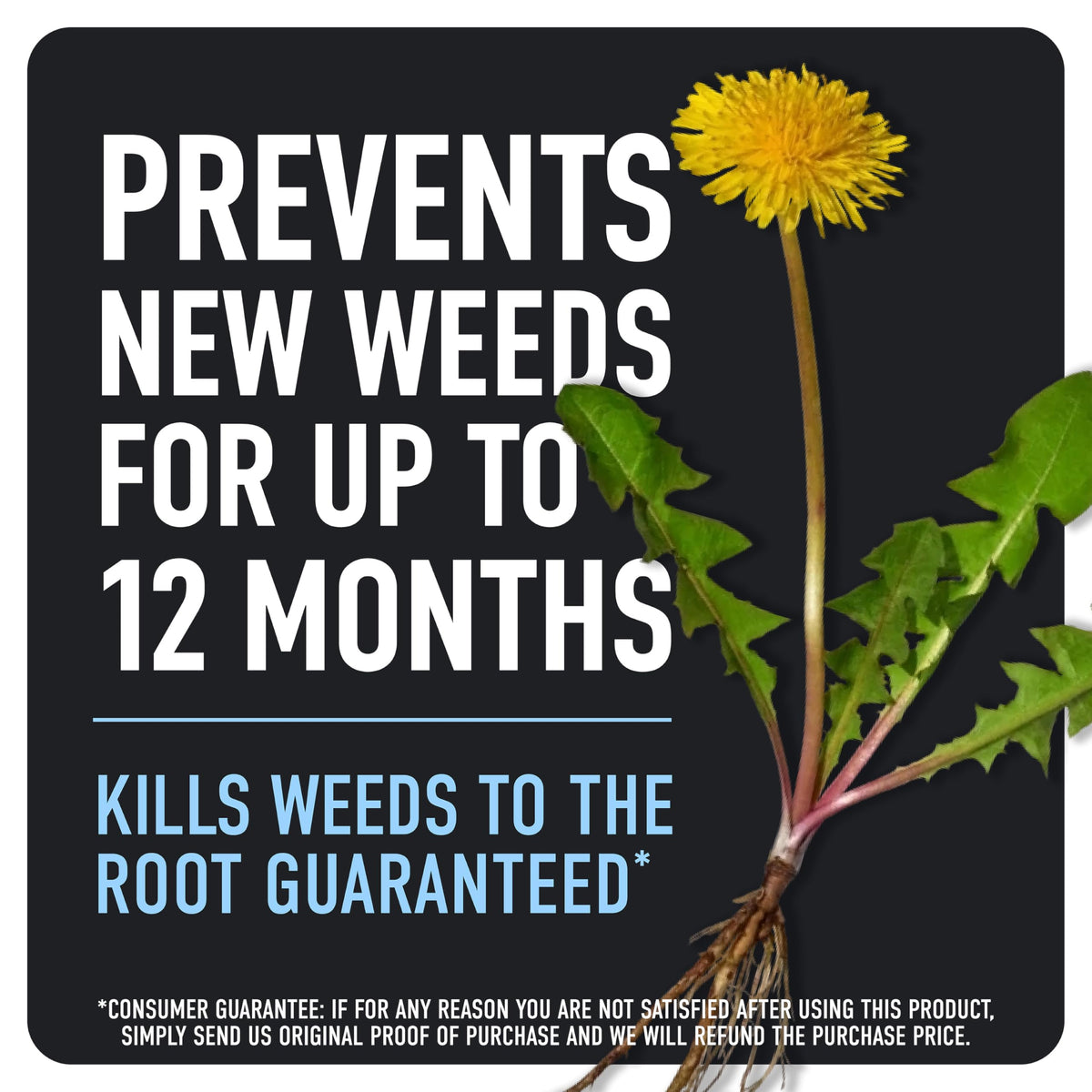 Weed & Grass Killer Plus 12 Month Preventer, 1 gal., Wand (Pack of 4) K350
