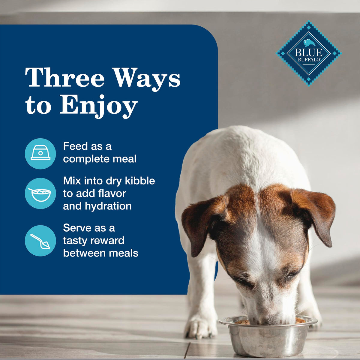 Chicken Senior Wet Dog Food 12.5 oz 12 ct Z90223