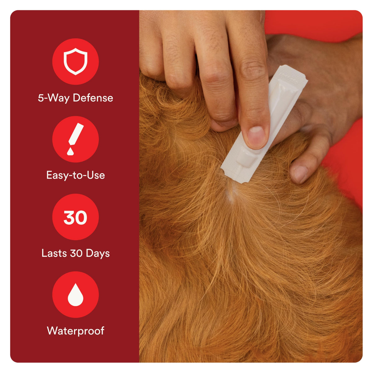 Flea and Tick Prevention for Small Dogs 4-10 lbs (4 Doses) + Flea Treatment for Dogs 2-25 lbs (6 Doses) Bundle O287675
