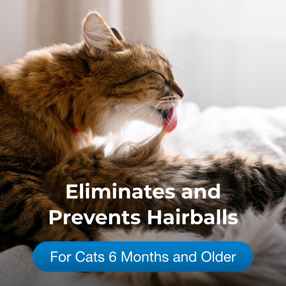 Hairball Gel Supplement for Cats 3.5 oz Pack of 2 W14981