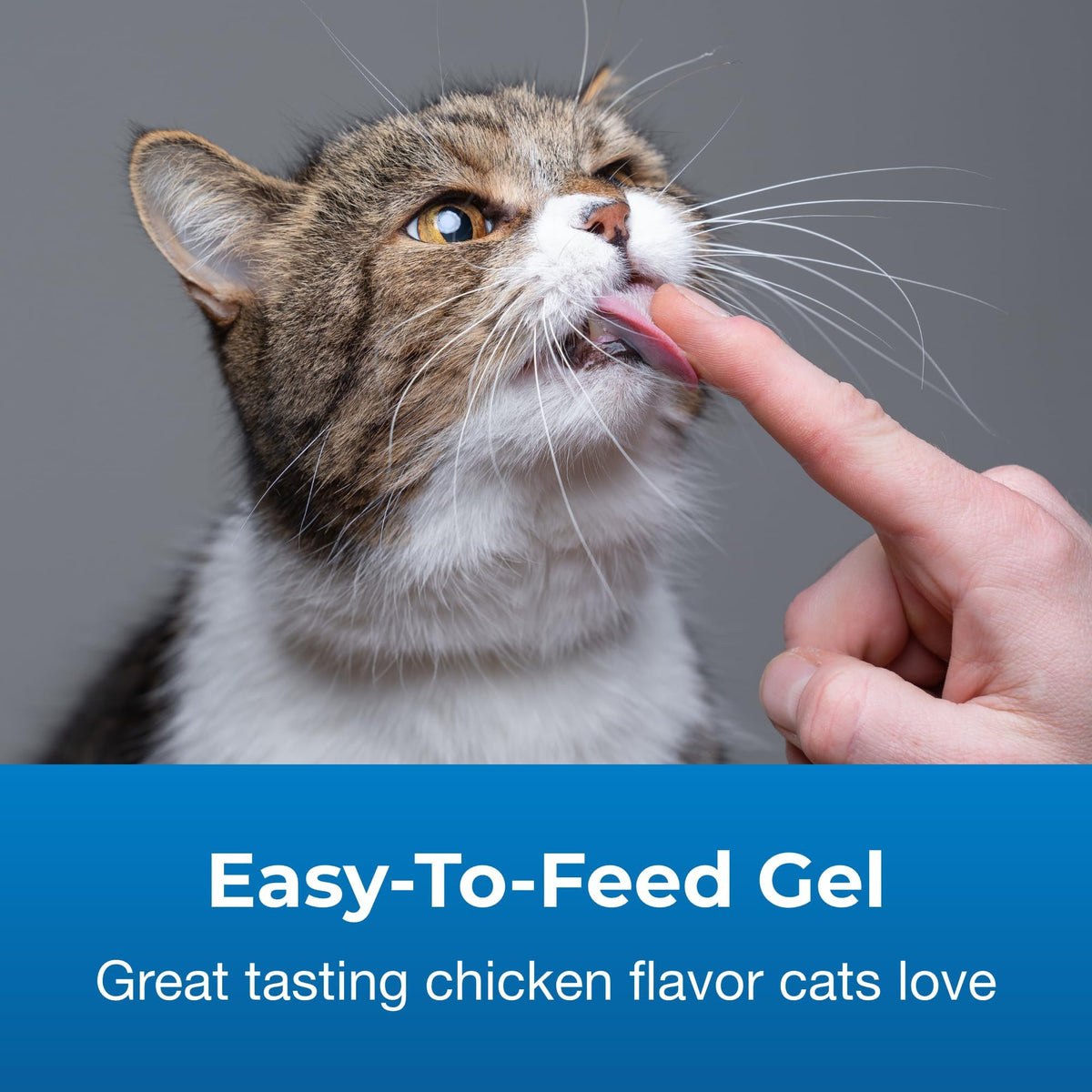 Hairball Gel Supplement for Cats 3.5 oz Pack of 2 W14981