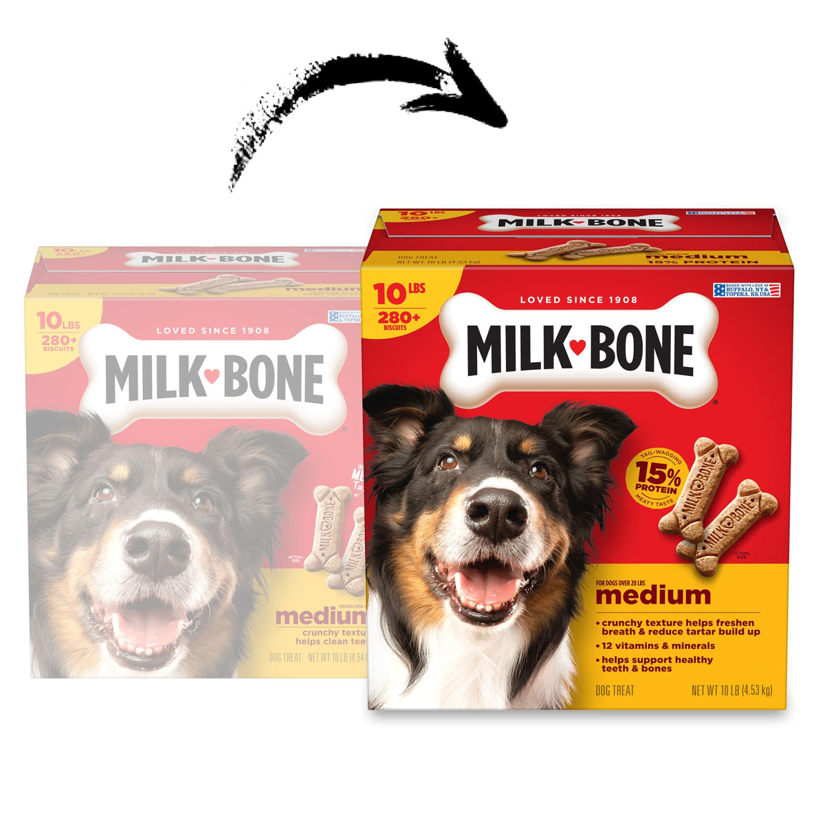 Medium Dog Biscuits 10 lb Box O2619