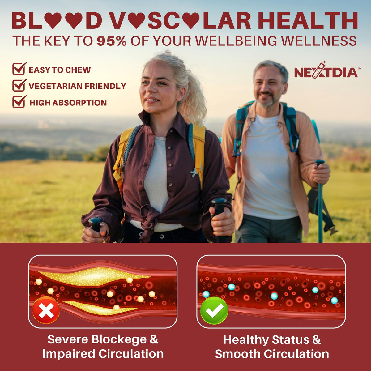 Red Yeast Rice Gummies 2400MG with CoQ10 F865813