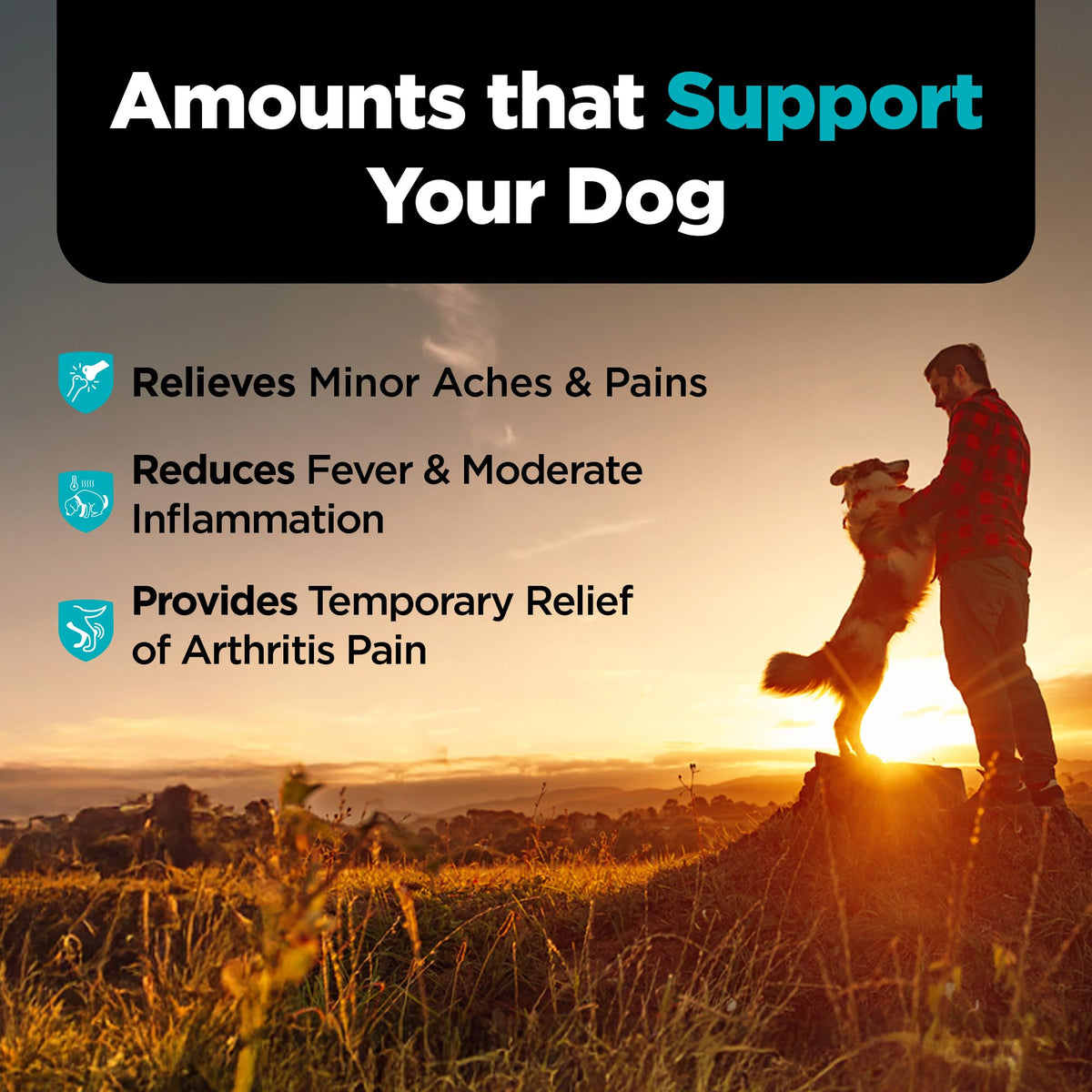 Aspirin Tablets for Large Dogs 300mg 75 Count K812978