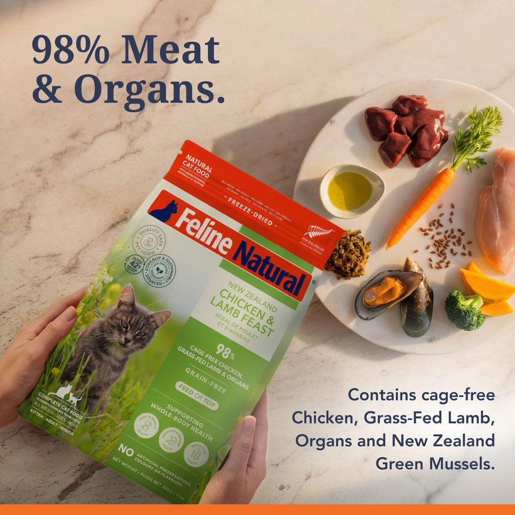 High Protein Freeze Dried Cat Food O455609