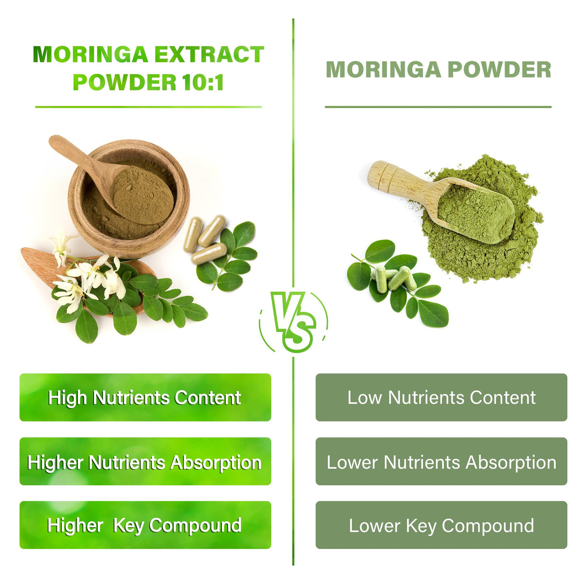 Moringa Oleifera Leaf Extract Capsules 150 Count E896