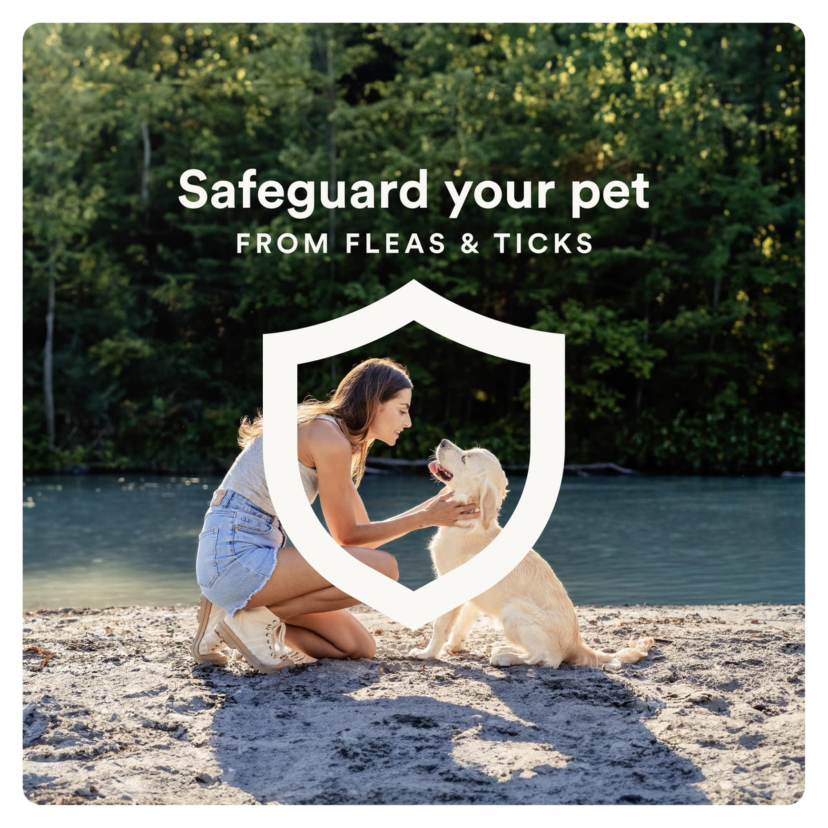 Flea and Tick Prevention for Small Dogs 4-10 lbs (4 Doses) + Flea Treatment for Dogs 2-25 lbs (6 Doses) Bundle O287675
