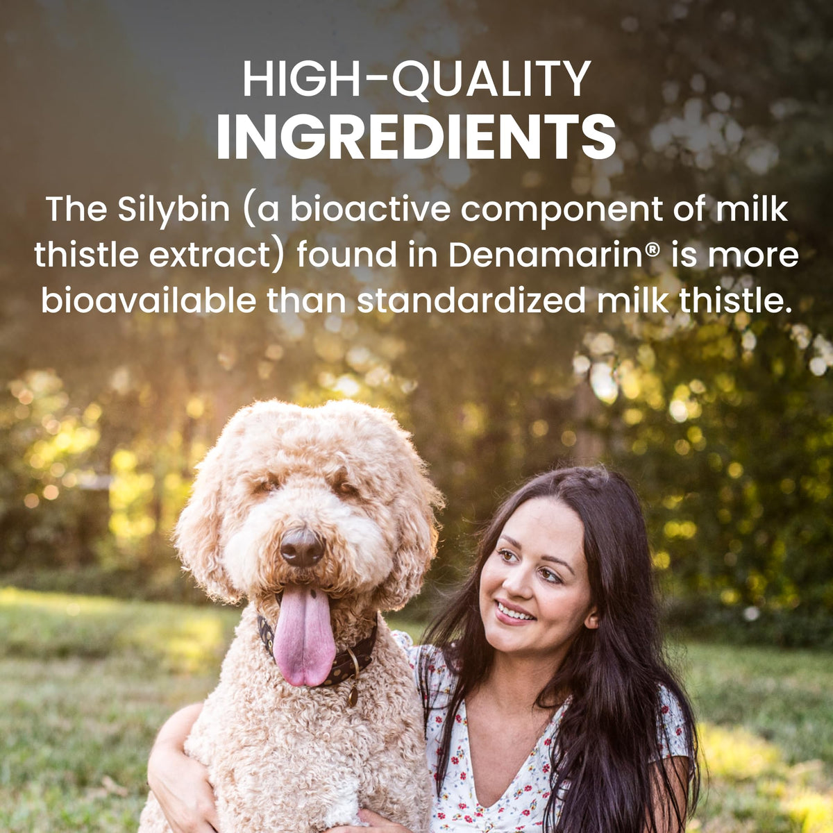 Liver Supplement for Large Dogs, 30ct J52805