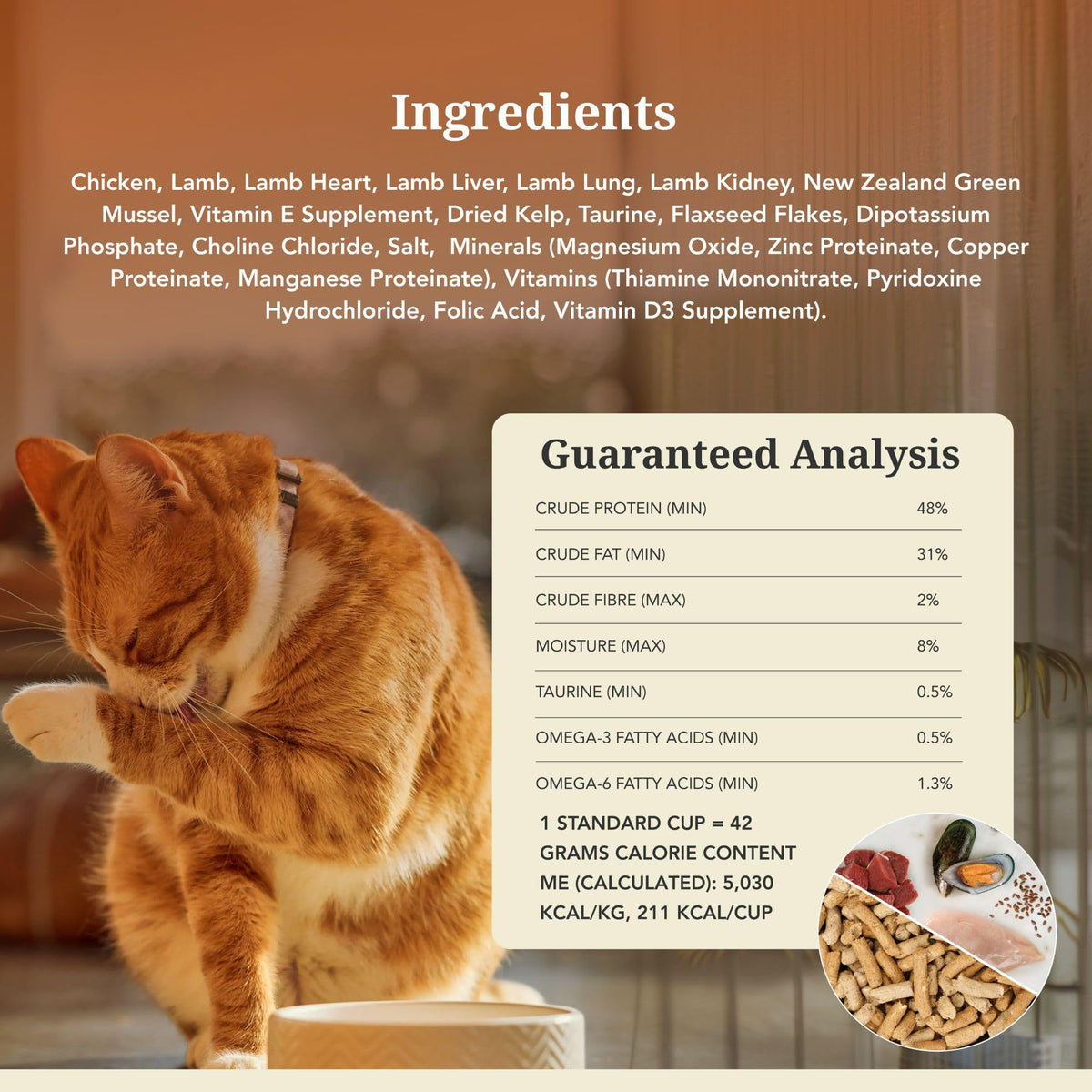 High Protein Freeze Dried Cat Food O455609