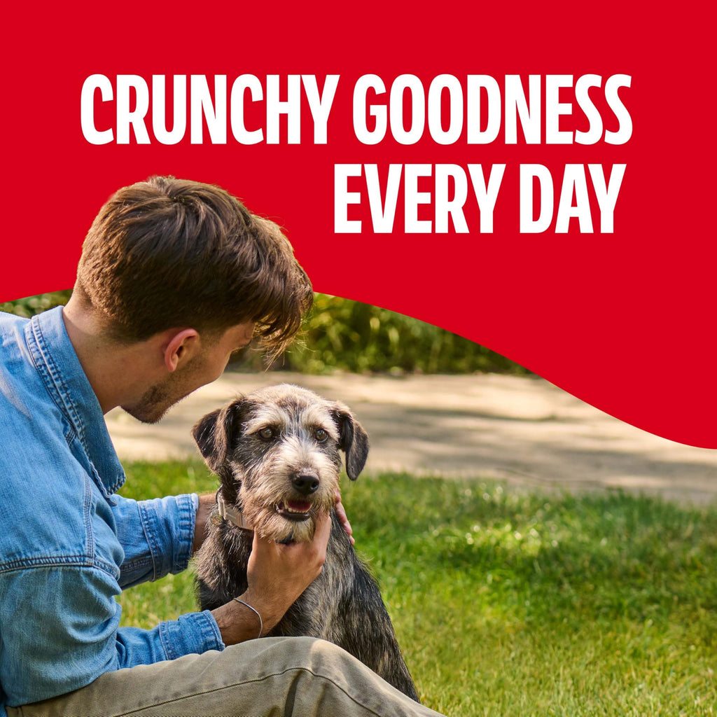 Medium Dog Biscuits 10 lb Box O2619